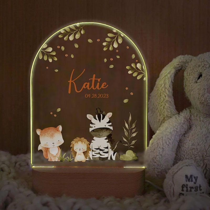 Custom Name Baby Night Light P - Baby Nursery Egg Light 评论和价格