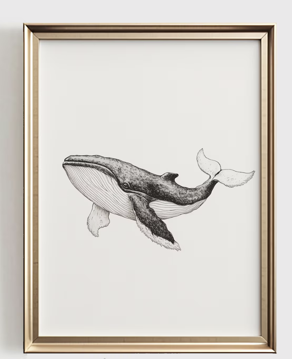 Whale Line Art Print, Minimali - Baby Nursery Ocean 评论和价格